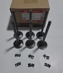 6X Exhaust Valves Set 5.9L Oem Dcec Cummins 6BT 4BT 12V W/collets. Fixed Price $80.00.