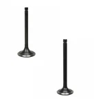 Forklift Intake & Exhaust Valve Set Mazda Fe / F2 Engine Hyster Yale. Fixed Price $114.99.