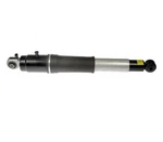 Dorman 949-036 Air Shock Absorber For Select 00-14 Cadillac Chevrolet Gmc Models. Fixed Price $139.00.