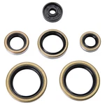 Tusk Engine Oil Kit Set Seals Fits Ktm Husqvarna 125 144 150 200 1339140030. Fixed Price $21.60.