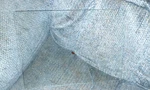 116048 Oem Genie Tower Glass Lens. Fixed Price $40.00.