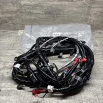 Oem Hyster 4613790 Engine Wiring / Wire Harness,. Fixed Price $4699.99.