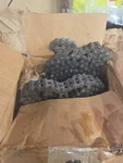 Hyster Chain 0135634 Renold Xl Bl 500 20, 72 2/8". Fixed Price $70.95.