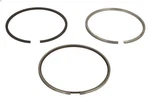 Piston Ring Kit Mahle 043 N0 Nissan Eco-t 3.99 1997-2. Fixed Price $132.22.
